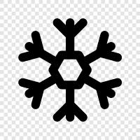 snowflake icon svg