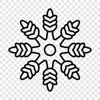 snowflake, snowflakes, flakes, frost icon svg