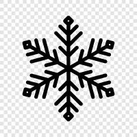 snowflakes, snowflake art, snowflake patterns, snowflake photography icon svg