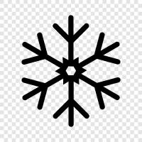 snowflakes, snowflake design, snowflake art, snowflake tattoo icon svg