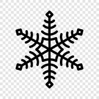 snowflakes, snowflake pattern, snowflake art, snowflake photography icon svg