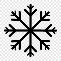 snowflakes, snowflake patterns, snowflake photography, snowflake art icon svg