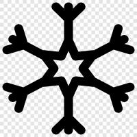 snowflakes, snowflake art, snowflake photography, snowflake videos icon svg