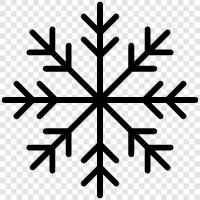 snowflakes, snowflake pictures, snowflake pictures of nature, snow icon svg