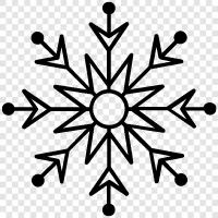 snowflakes, snowflake patterns, snowflake art, snowflake photography icon svg