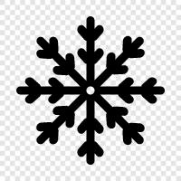 snowman, snowflake art, snowflake photography, snowflake design icon svg