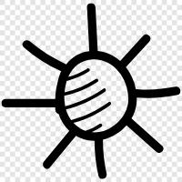 solar, energy, light, planet icon svg