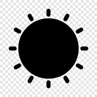 solar, sunflower, light, day icon svg