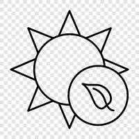 solar, light, planet, star icon svg