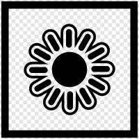 solar, sunspot, solar eclipse, solar system icon svg