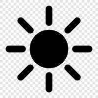 solar, sunbeam, sunflower, sunhat icon svg