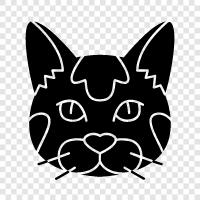 spangled kitten, spangled cats, spangled cats for sale, spangled cat icon svg