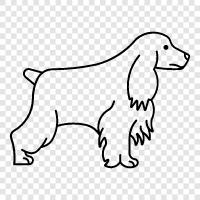 Spaniel, Beagle, Köpek, Pet ikon svg