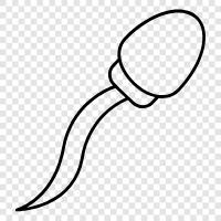 sperm count, sperm production, sperm motility, sperm morphology icon svg