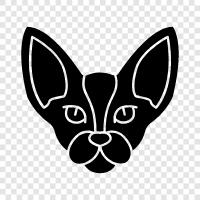 Sphynx, Sphynx Cat Breeds, Sphynx Cat icon svg