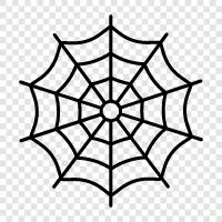 Spider, Web, Hunter, Silk icon svg