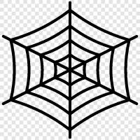 spider, web, spider silk, spinning icon svg