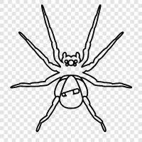 spider babies, baby spiders, baby arachnids, spider kids icon svg