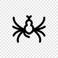 spider costumes, spider party, spider decorations, spider tattoos icon svg