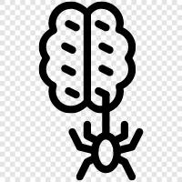 Spider, Brain, Intelligence, Psychology icon svg