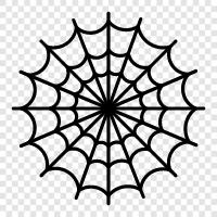 Spinnen, Web, Arachniden, krabbeln symbol