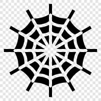 spider, web, spider silk, spider silk production icon svg