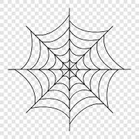 spider, web, spiderwebbing, silk icon svg