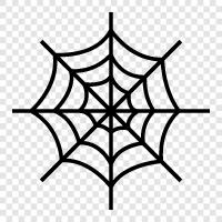 Spider, Web, Spider Silk, Spider Silk Fabric icon svg