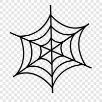 spider, web, spiderwebs, spider Silk icon svg