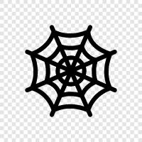 spider, spider web, cobwebs, cobwebbed icon svg