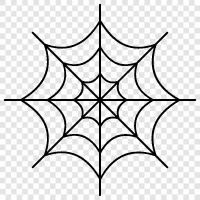 Spider, Web, Spiders, Arachnids icon svg