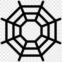 spider, web, spiderman, spiderwoman icon svg