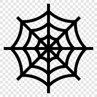 Spider, Web, Spiders, Arachnids icon svg