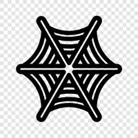 spider, web, cobweb spider, spider web icon svg