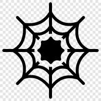 Spider, Webs, Web, Spiderwebs icon svg