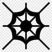 Spinne, Spinnwebe, Spinnwebe Spinne, Spinnwebe Weber symbol