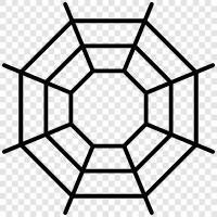 Spinnen, Netz, Arachnophobie, Angst vor Spinnen symbol