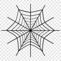 Spider, Web, Creation, Design icon svg