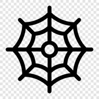 spider, web, spinning, silk icon svg