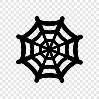 Örümcek, Web, Arachnid, Creepy ikon svg