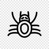 spider icon svg