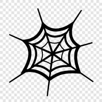 Spider, Web, Trap, Capture icon svg