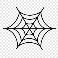 Spider, Webs, Web, Spiderweb Software icon svg