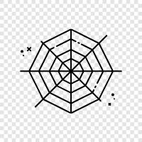 spider, web, catching, spider catcher icon svg