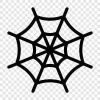 örümcek, web, cobweb örümcek, web örümcek ikon svg