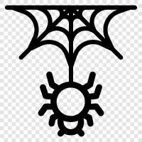 Spider, Web, Spiders, Webs icon svg