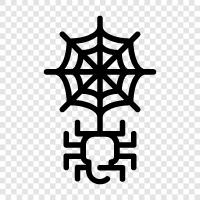 Spider, Web, Creation, Webs icon svg