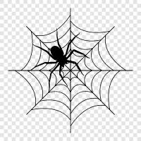 spider, web, spider silk, spinning icon svg