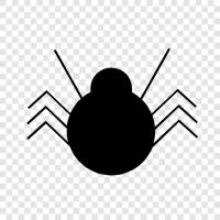 spider icon svg