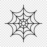 Spinne, Webs, Spinnennetz, Spinnweben symbol